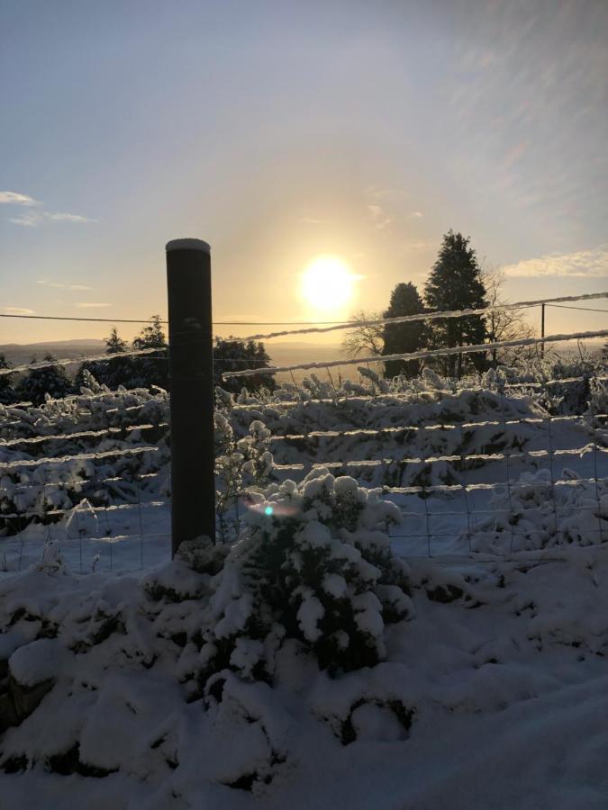 Woodside Cabin Inverness Esterno foto